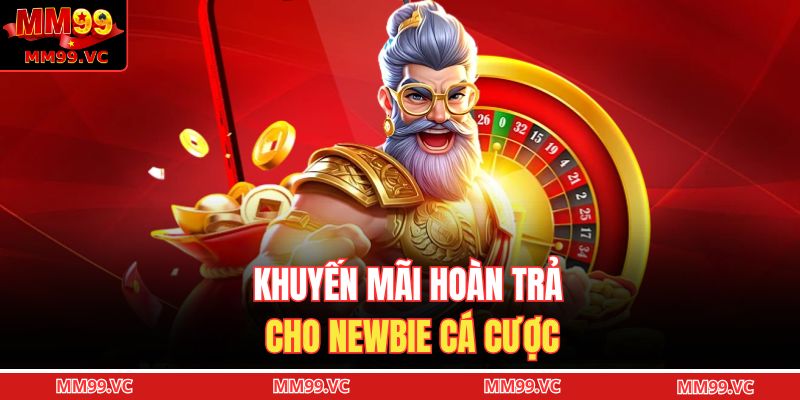 Khuyến mãi hoàn trả cho newbie cá cược